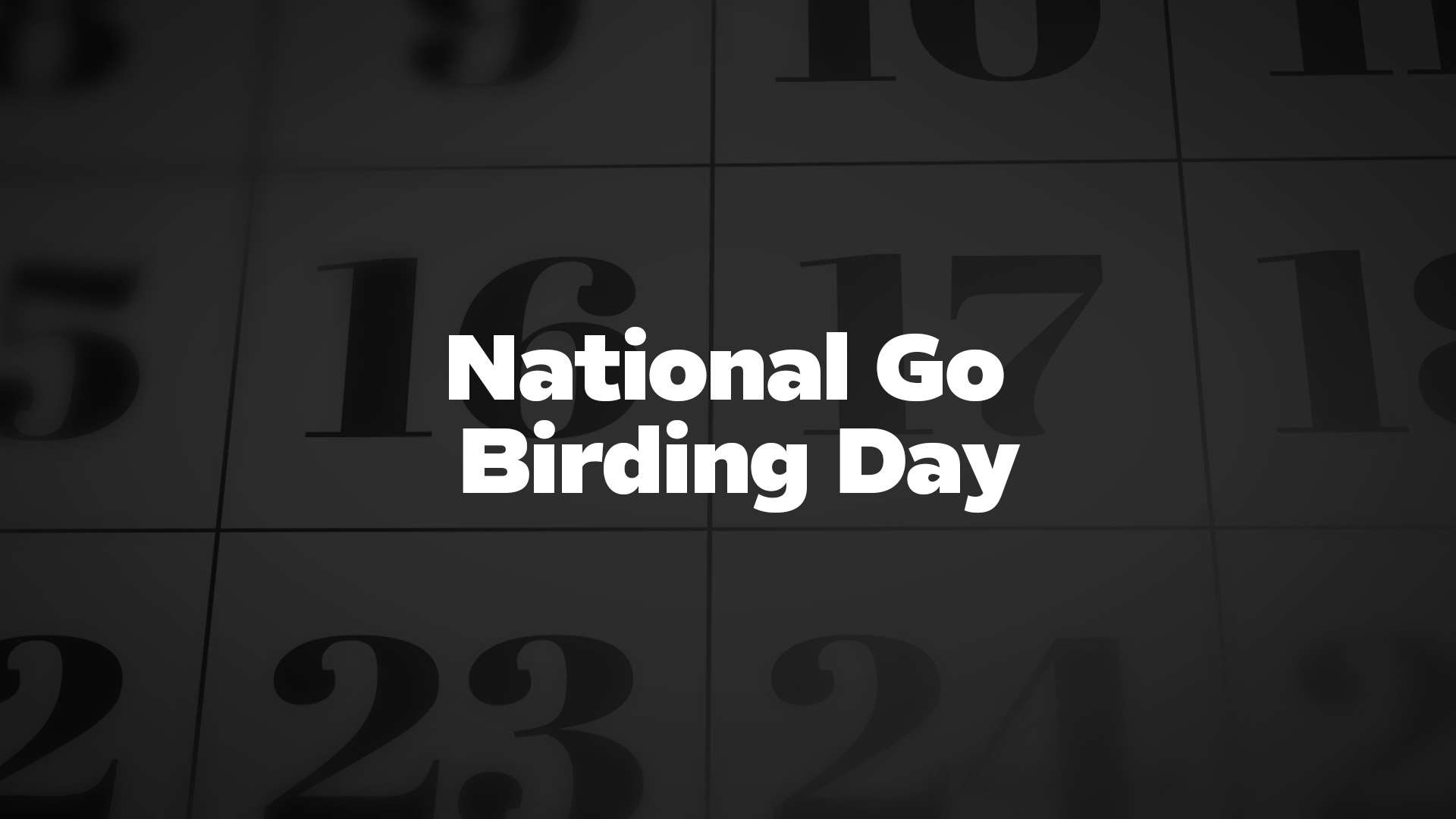 Title image for National Go Birding Day