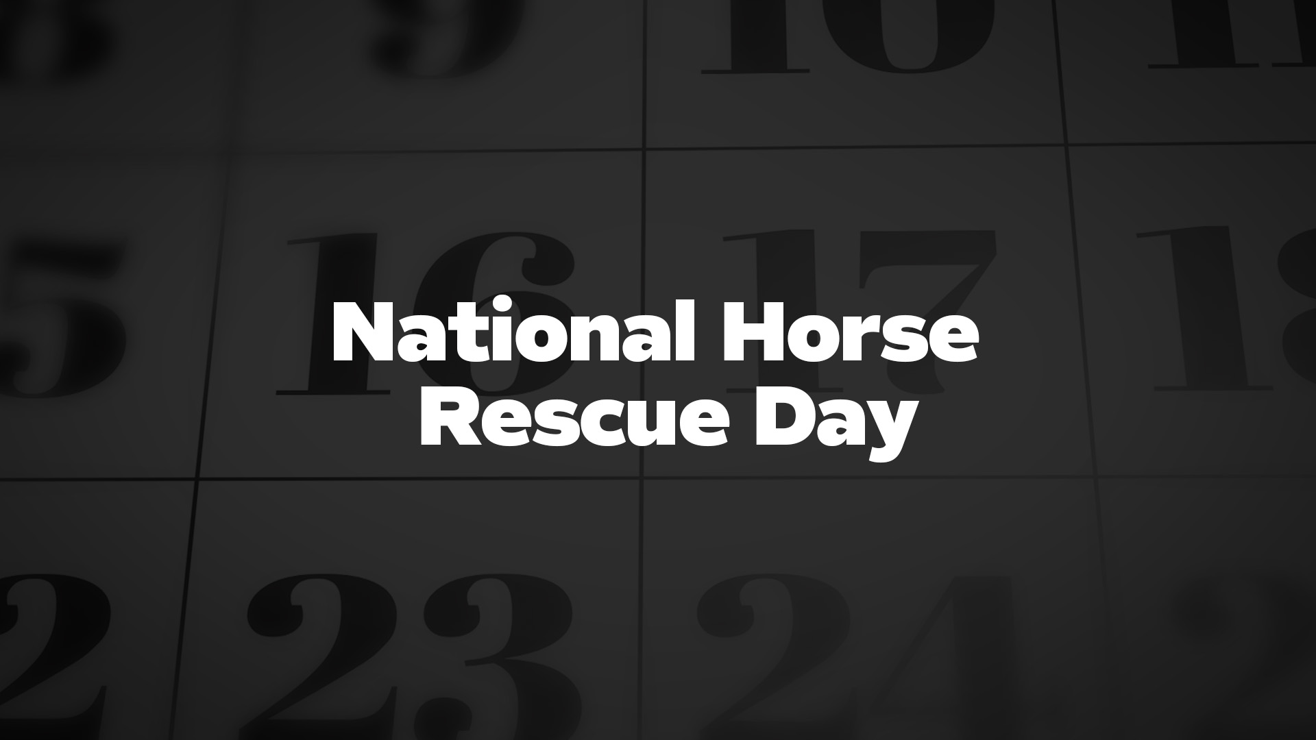 Title image for National Horse Rescue Day