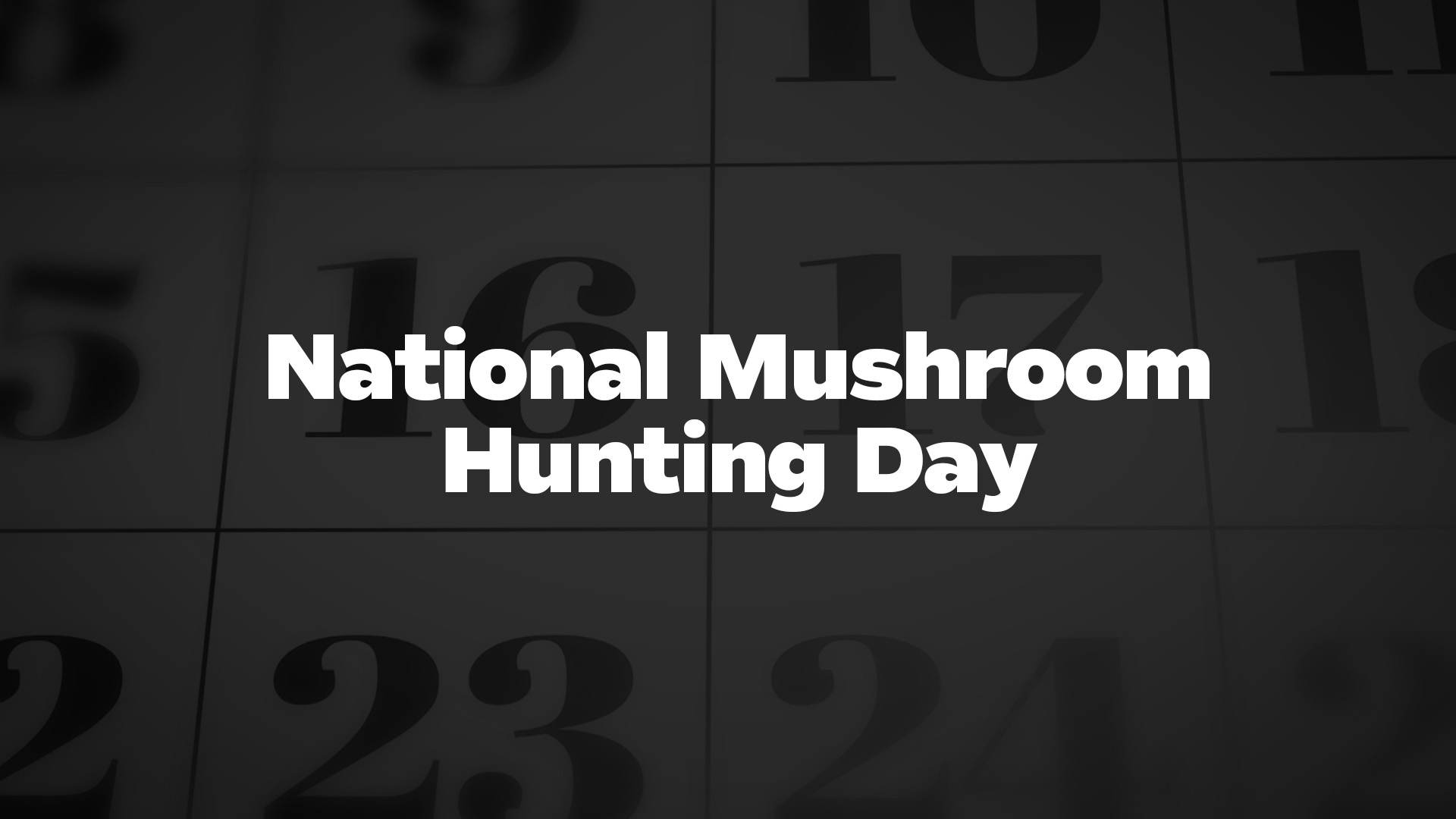 Title image for National Mushroom Hunting Day
