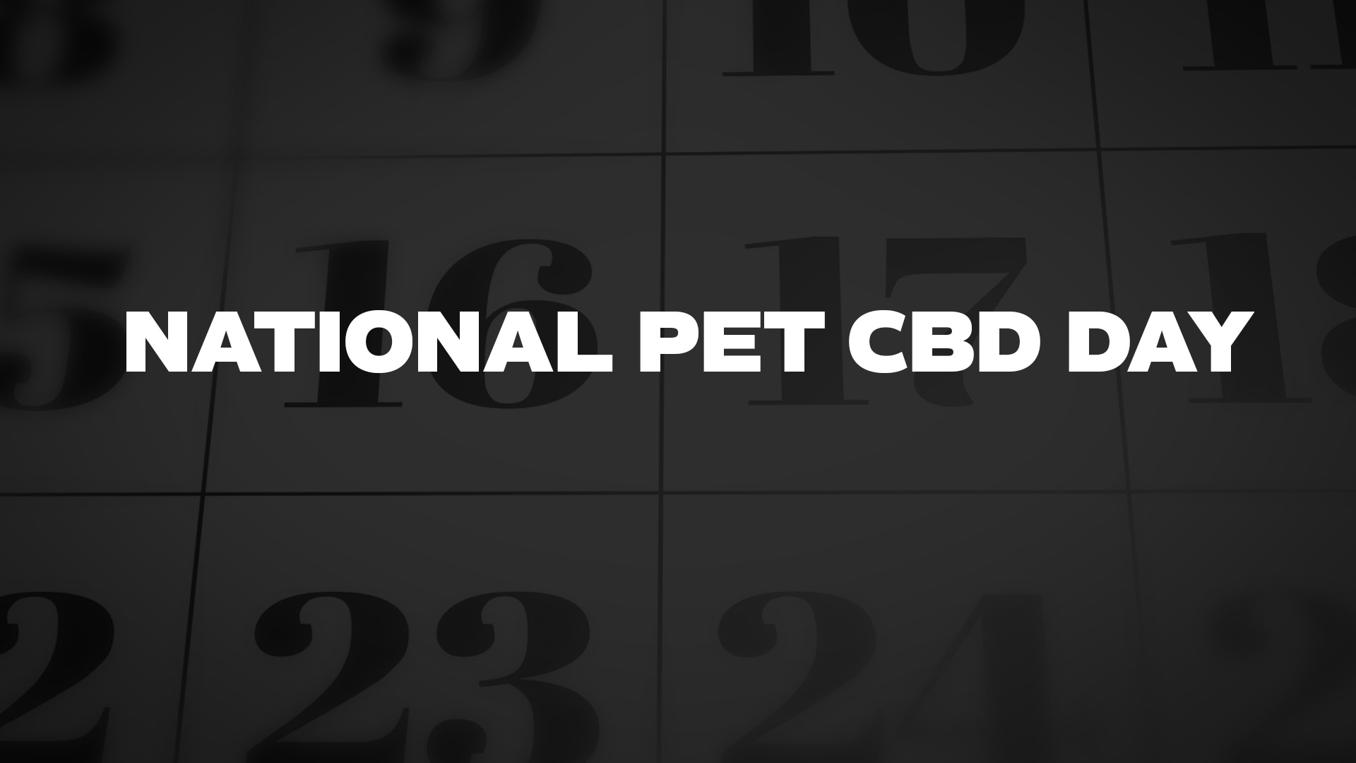 Title image for National Pet CBD Day