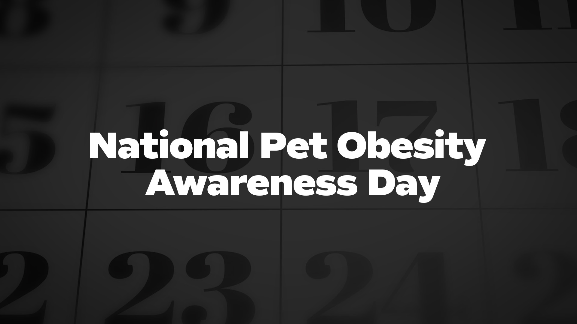 Title image for National Pet Obesity Awareness Day