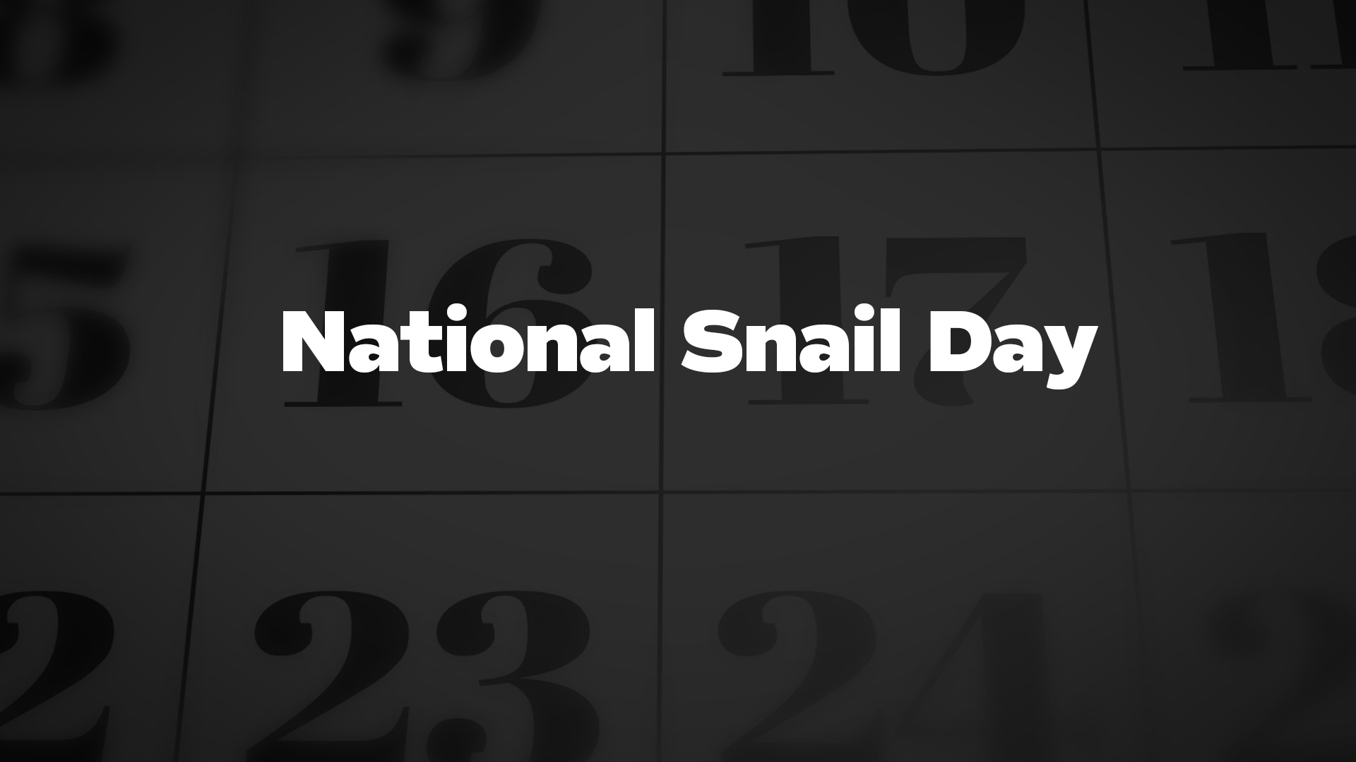 Title image for National Snail Day