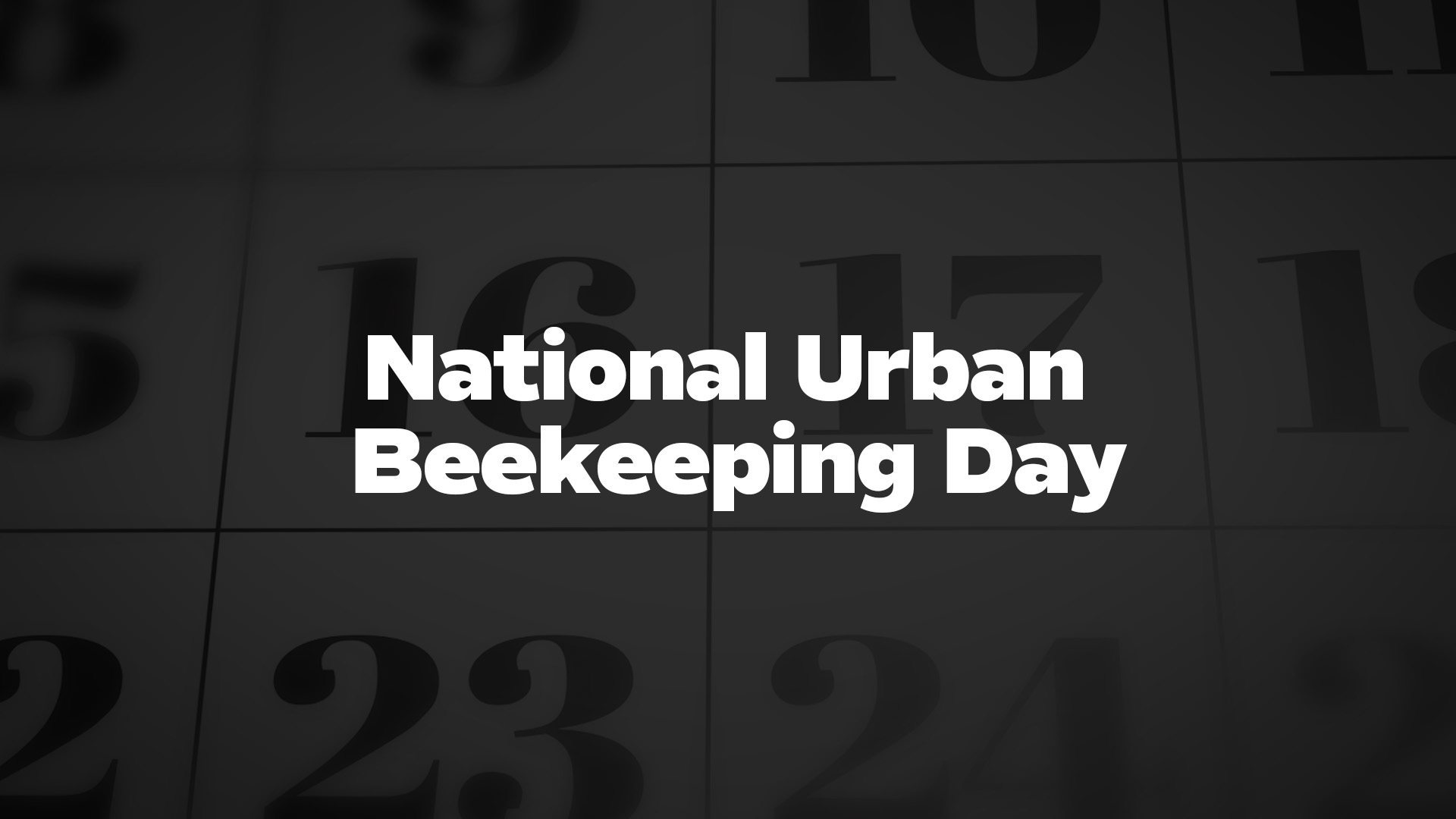Title image for National Urban Beekeeping Day