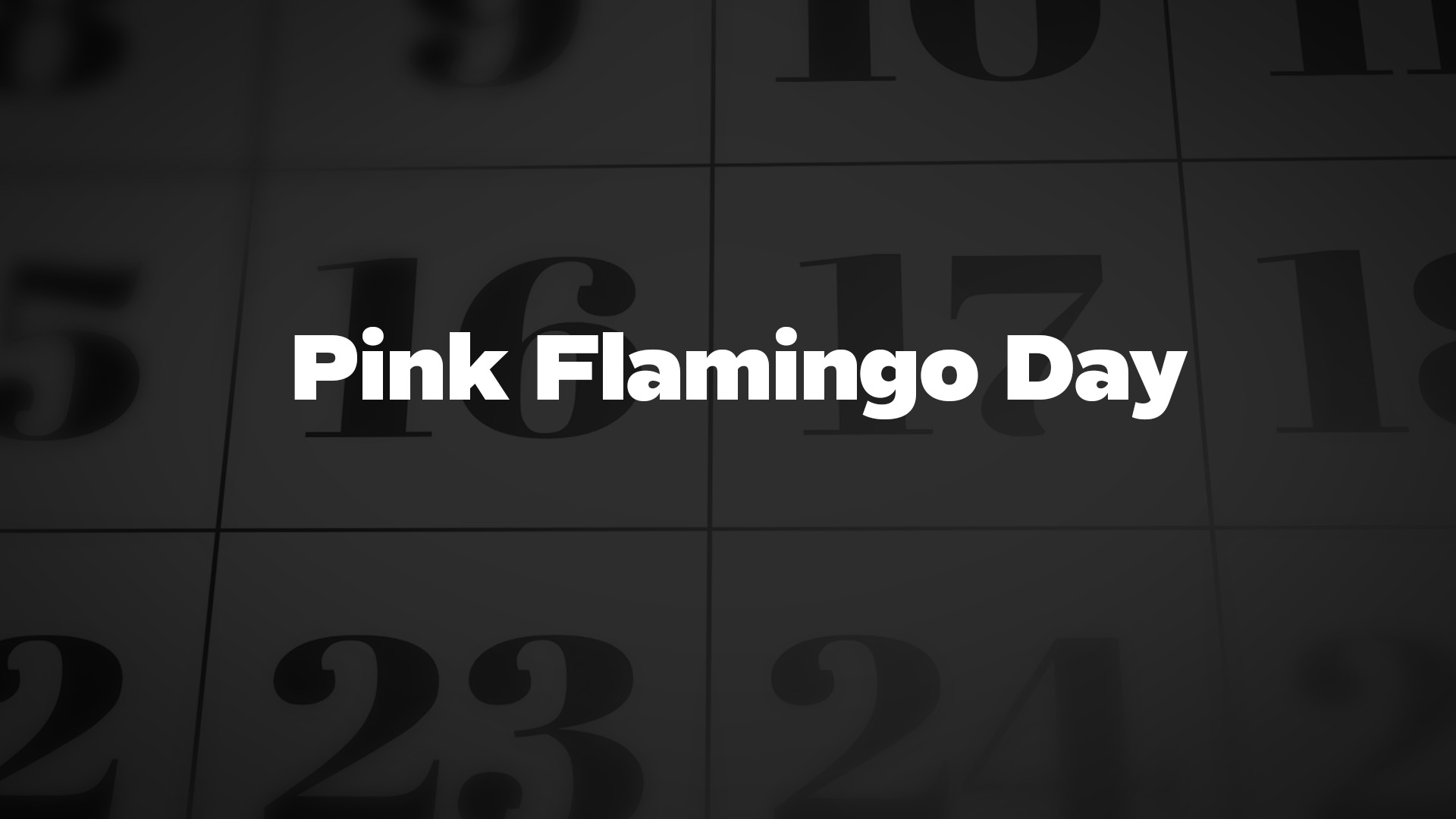 Title image for Pink Flamingo Day