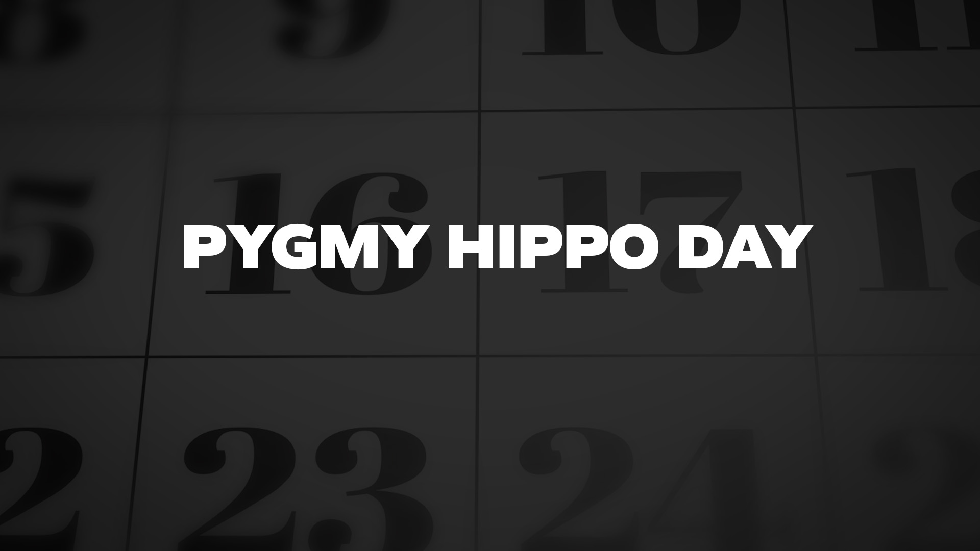 Title image for Pygmy Hippo Day