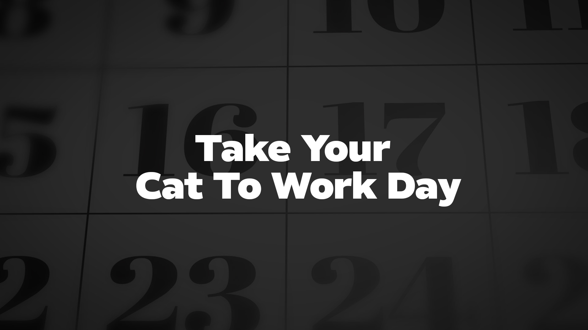Title image for Take Your Cat To Work Day