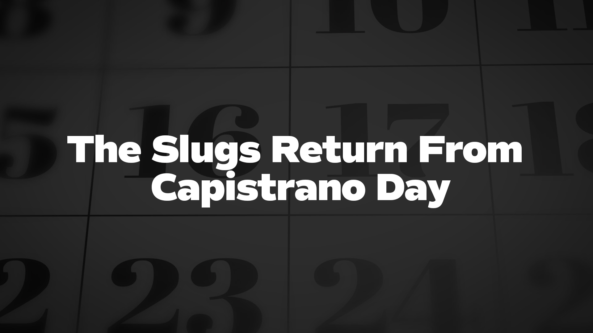 Title image for The Slugs Return From Capistrano Day