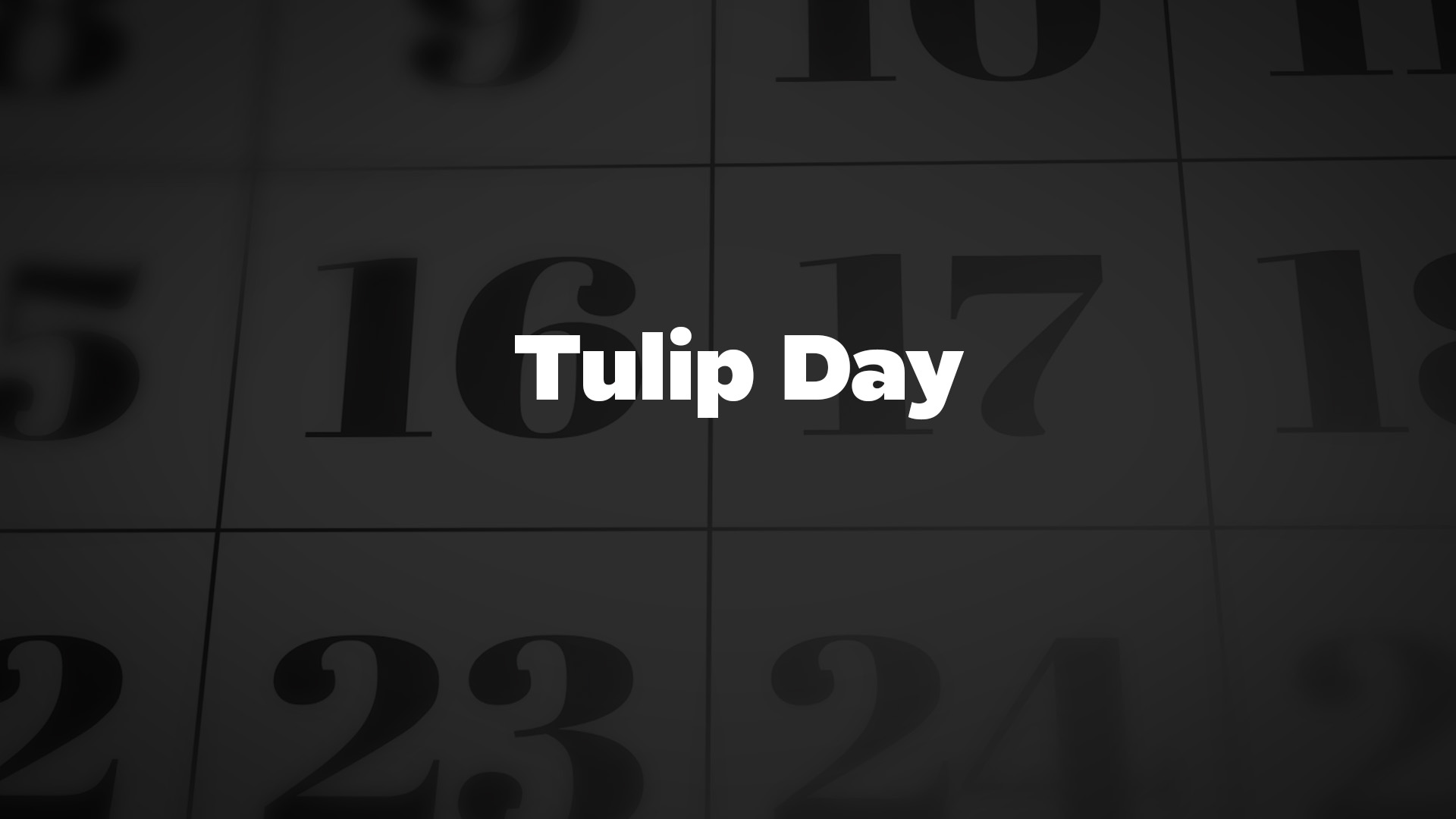 Title image for Tulip Day