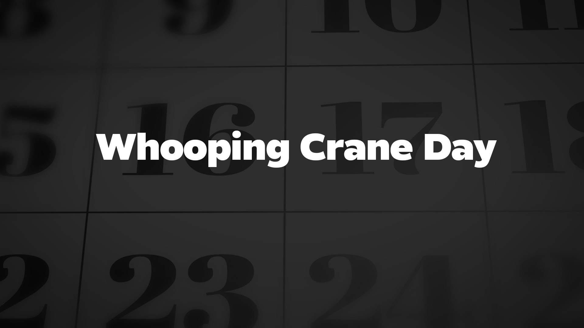 Title image for Whooping Crane Day
