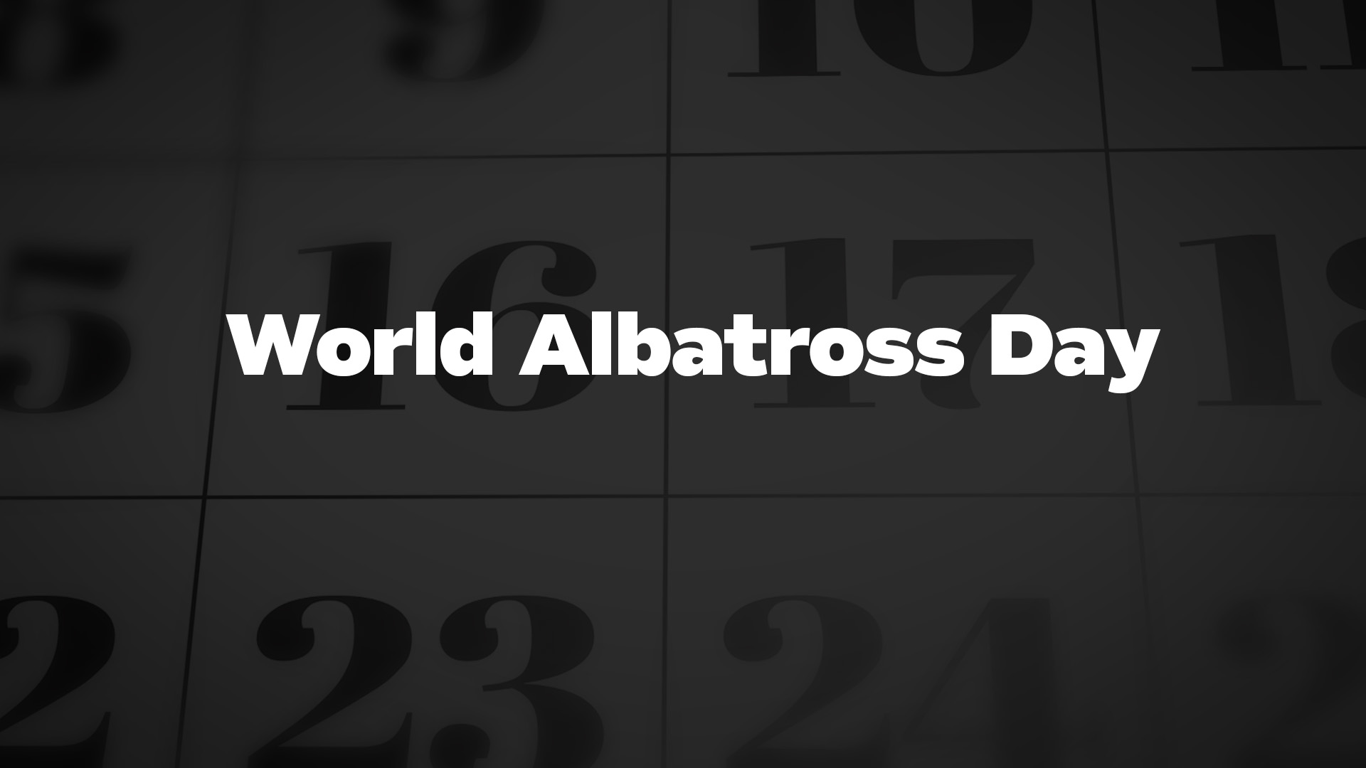 Title image for World Albatross Day