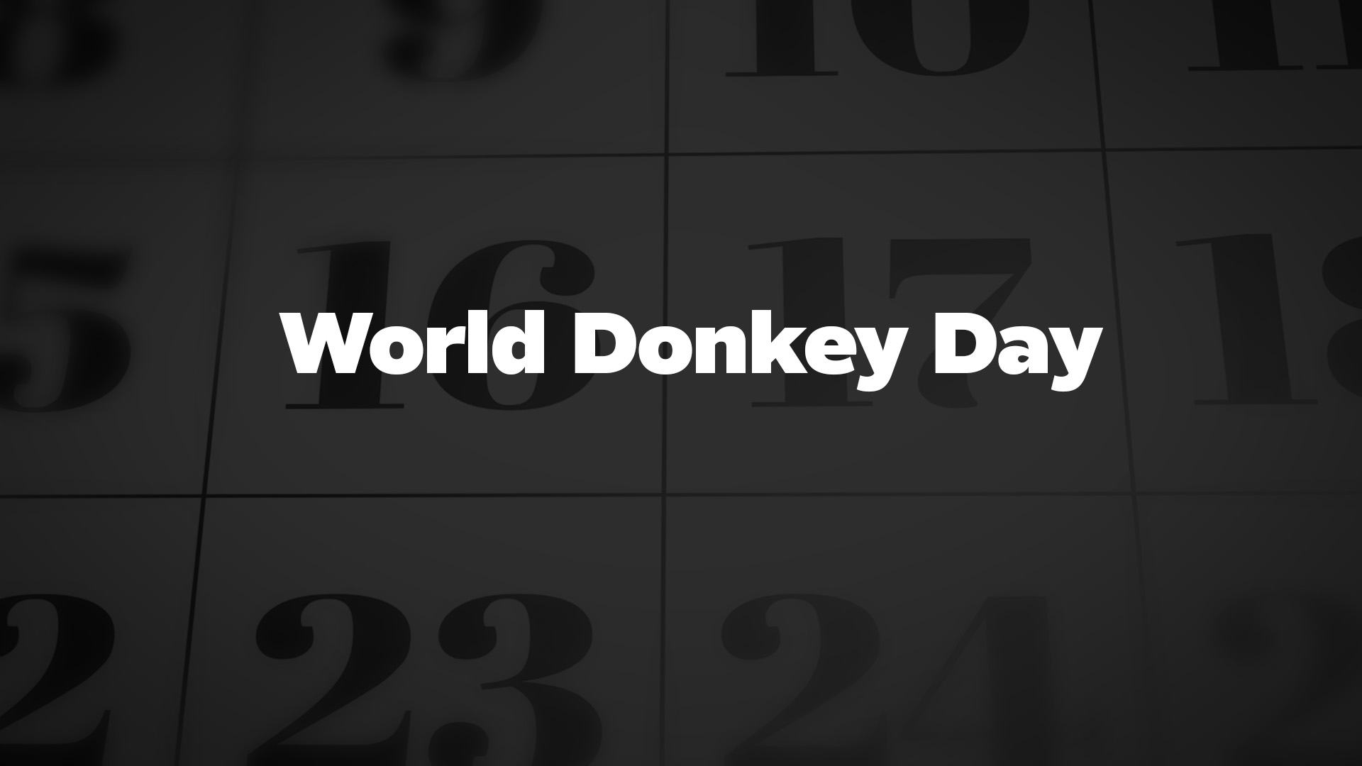 Title image for World Donkey Day