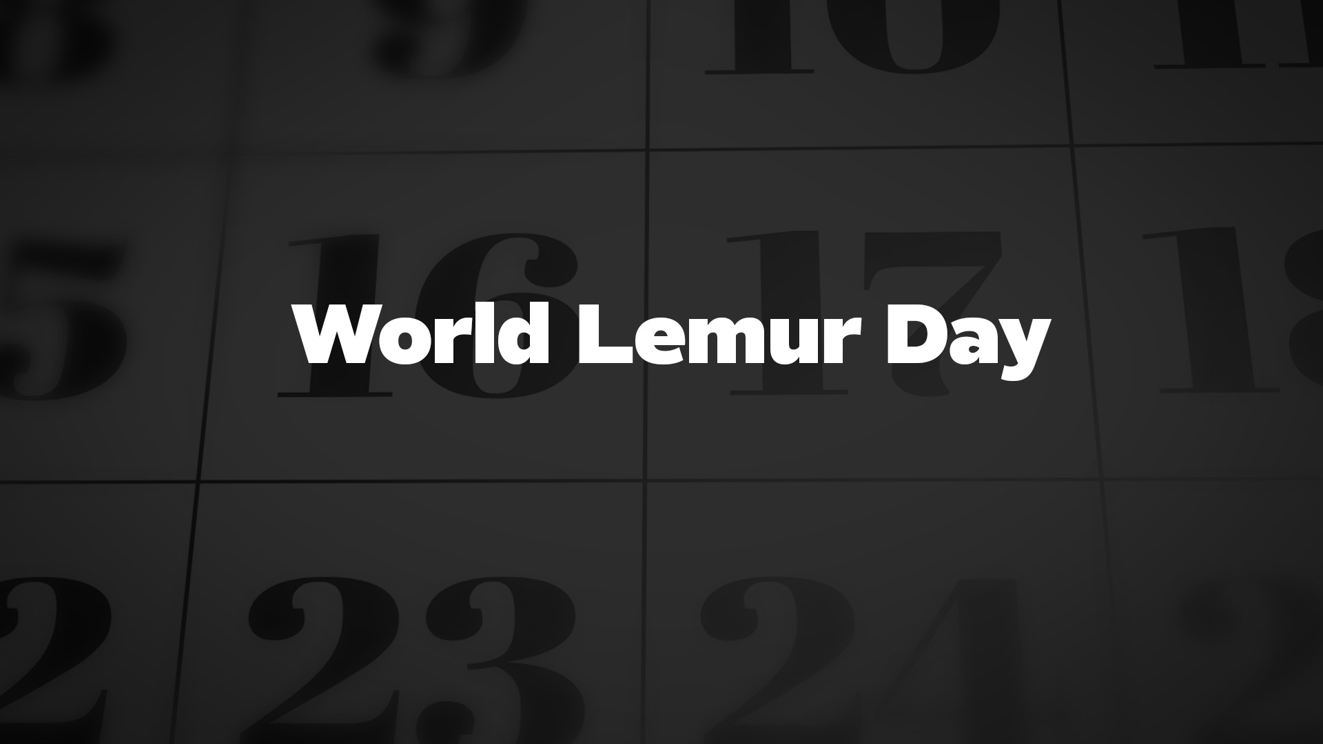 Title image for World Lemur Day