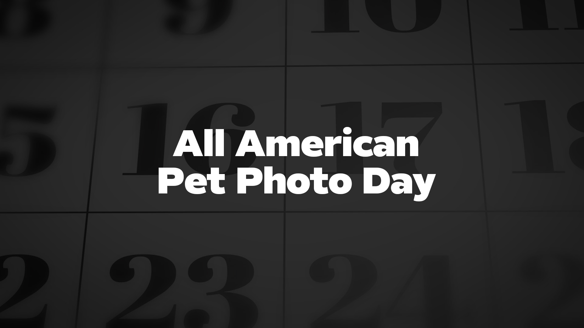 Title image for All American Pet Photo Day