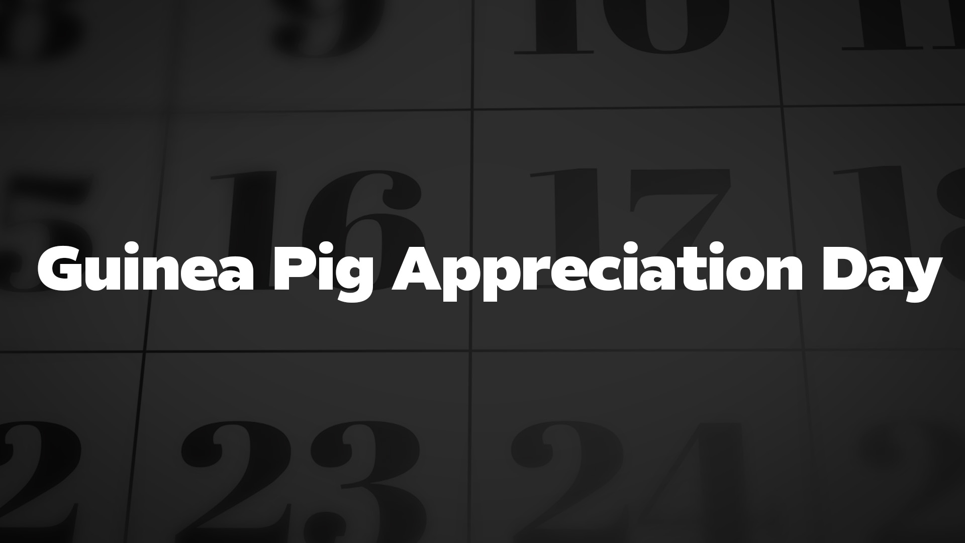 Title image for Guinea Pig Appreciation Day