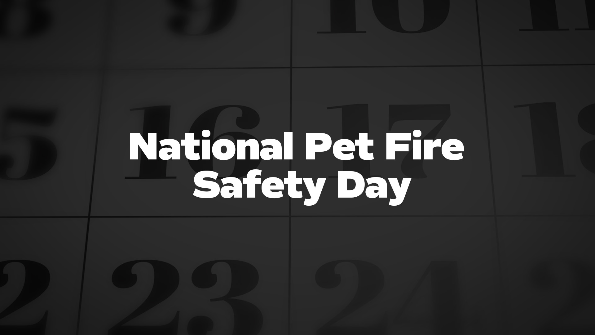Title image for National Pet Fire Safety Day