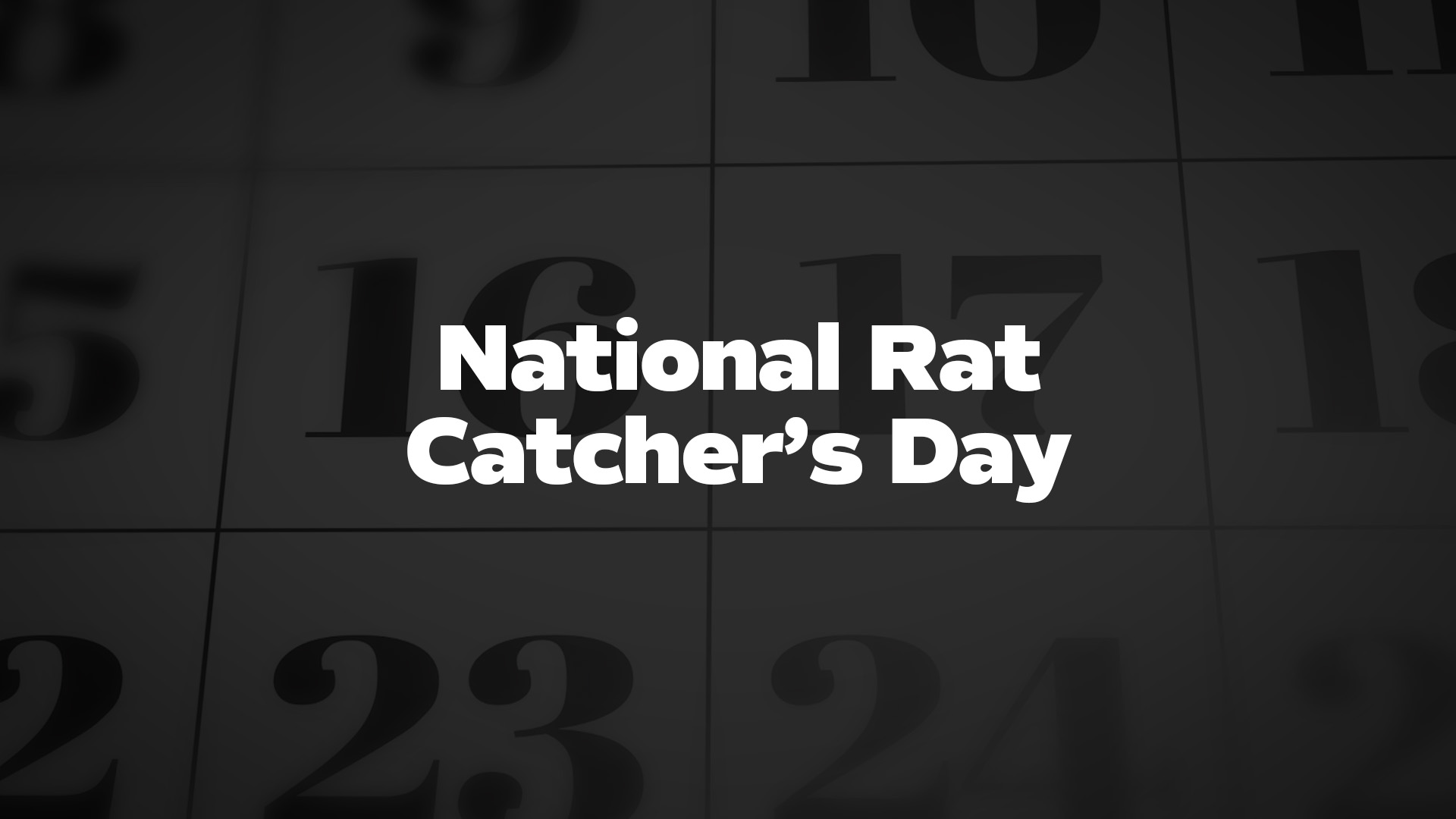 Title image for National Rat Catcher’s Day
