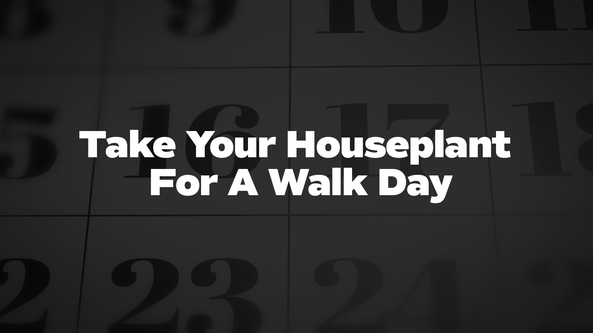 Title image for Take Your Houseplant For A Walk Day