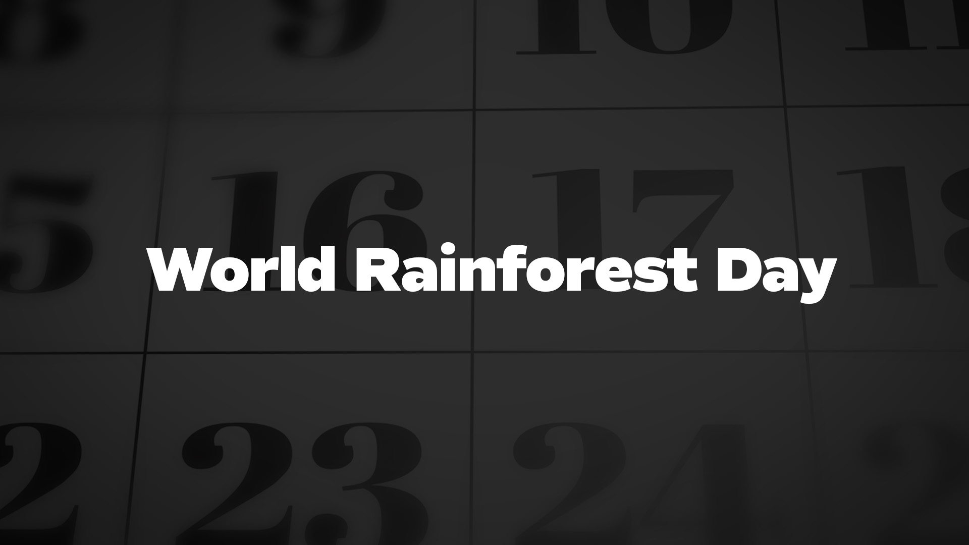 Title image for World Rainforest Day