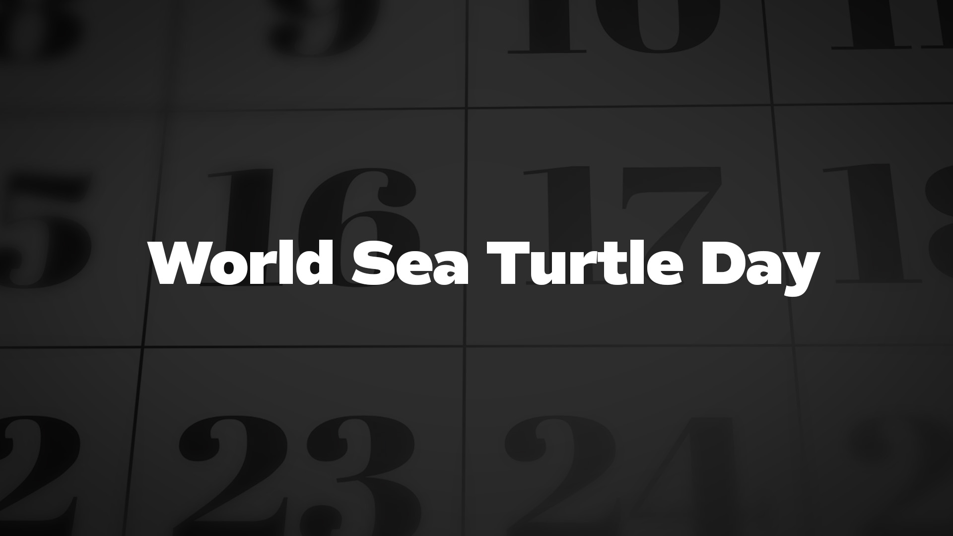 Title image for World Sea Turtle Day