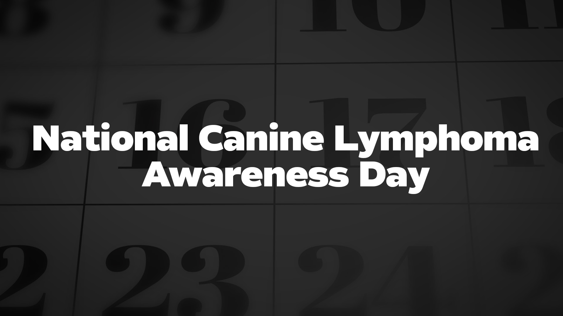 Title image for National Canine Lymphoma Awareness Day