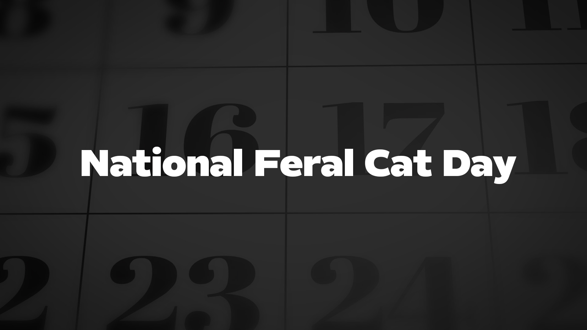 Title image for National Feral Cat Day