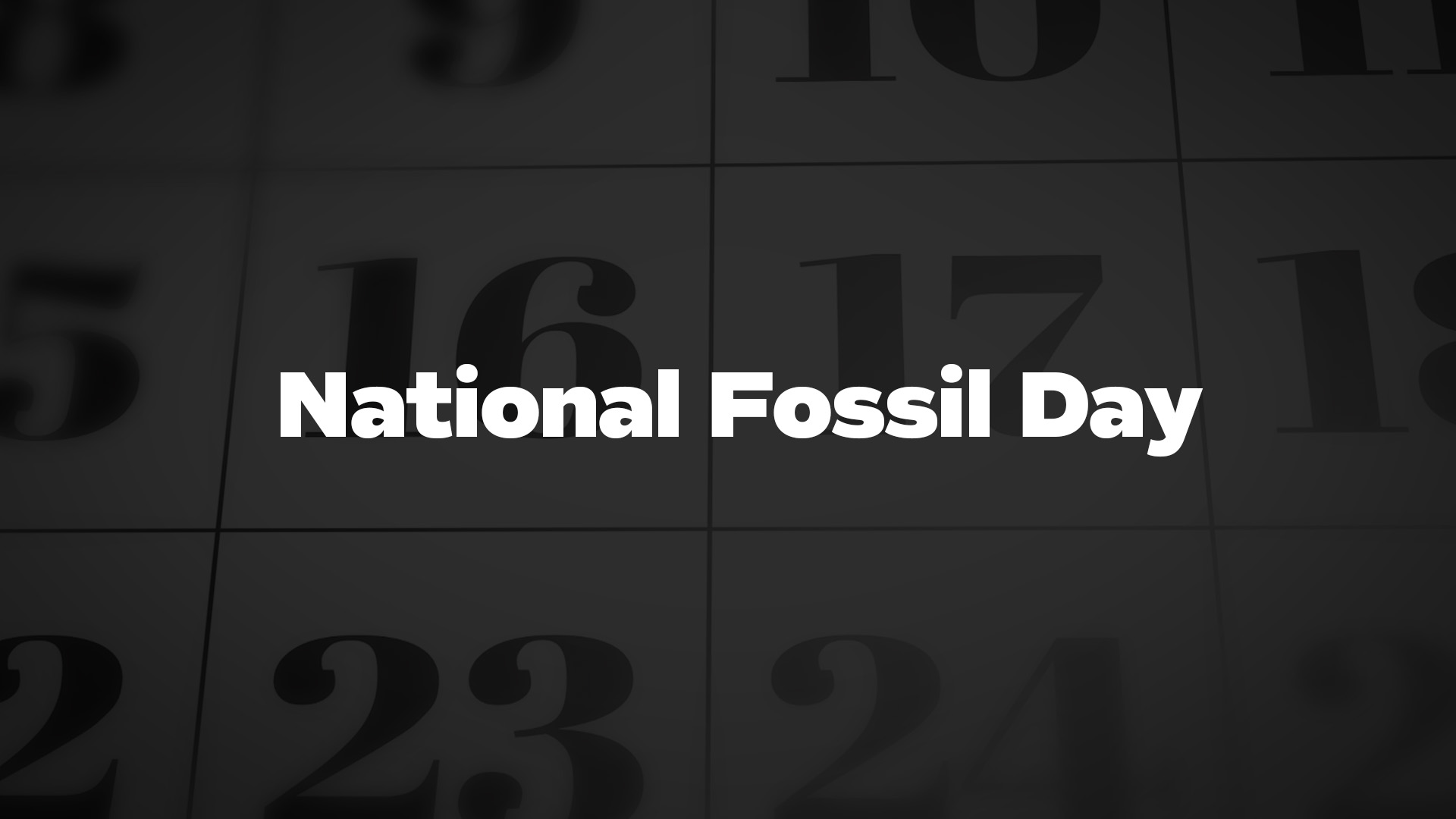Title image for National Fossil Day