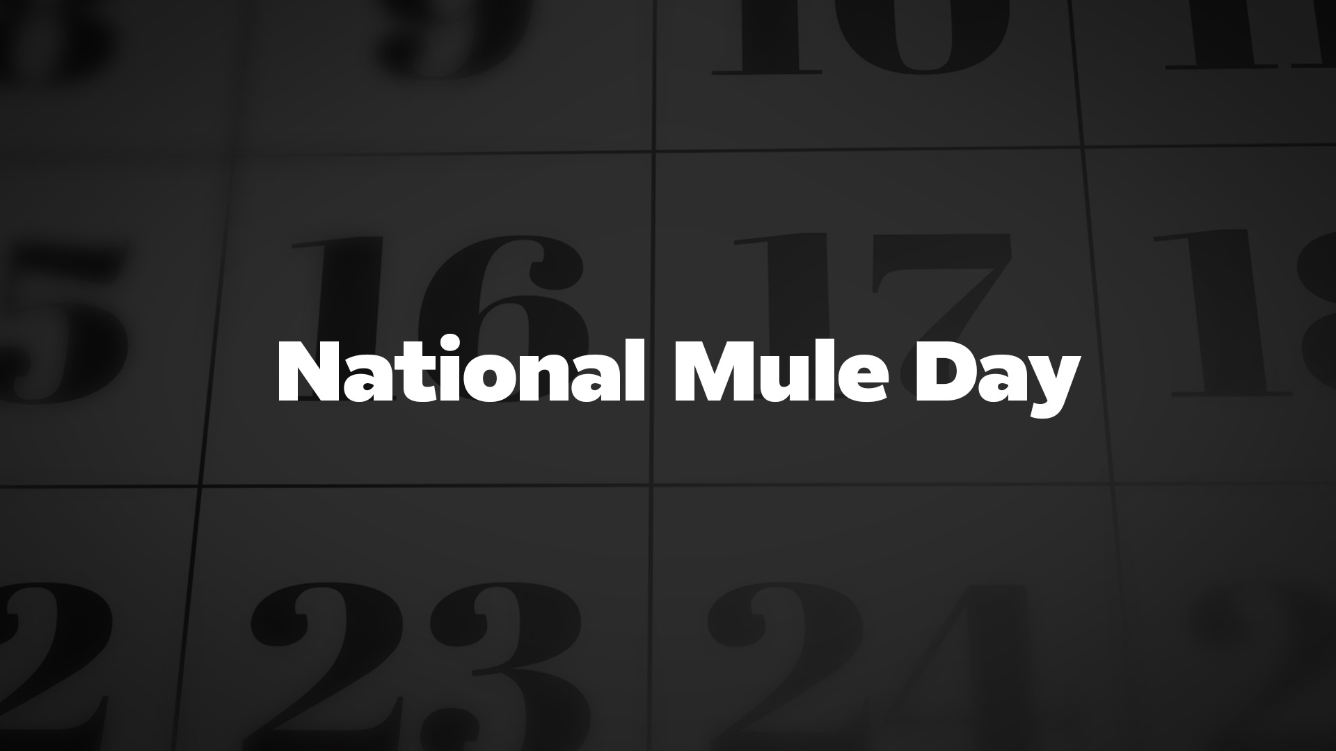 Title image for National Mule Day