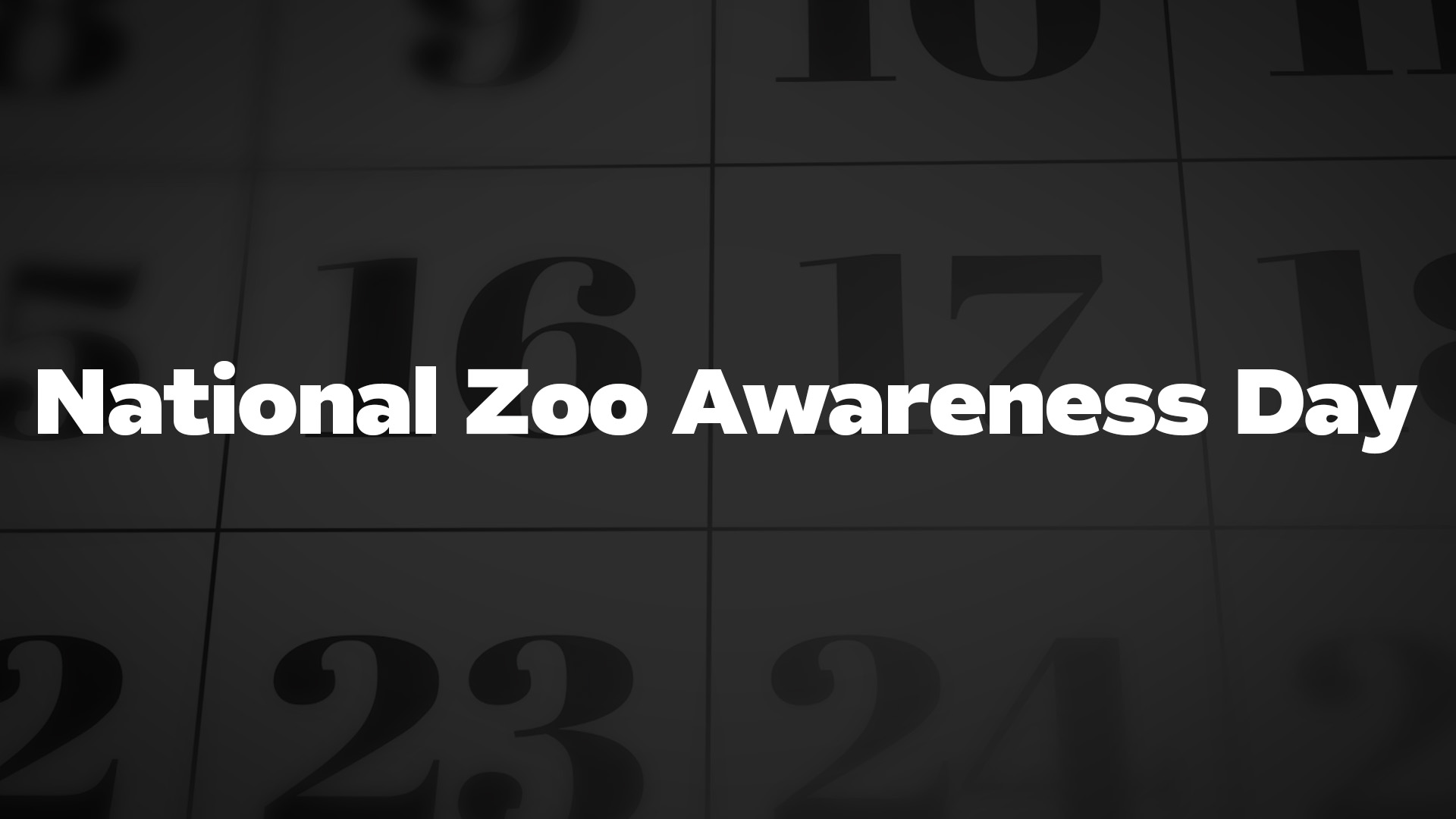 National Zoo Awareness Day List of National Days