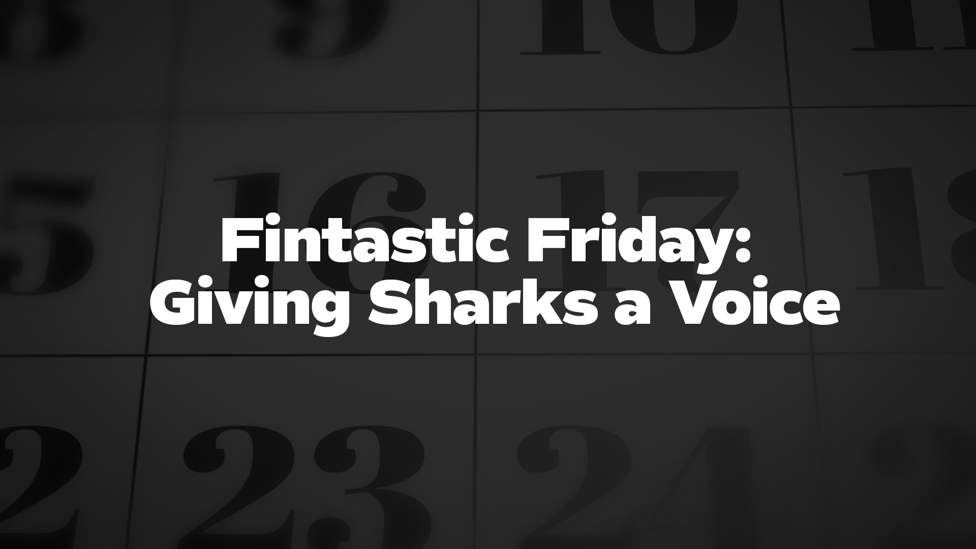 Title image for Fintastic Friday: Giving Sharks a Voice