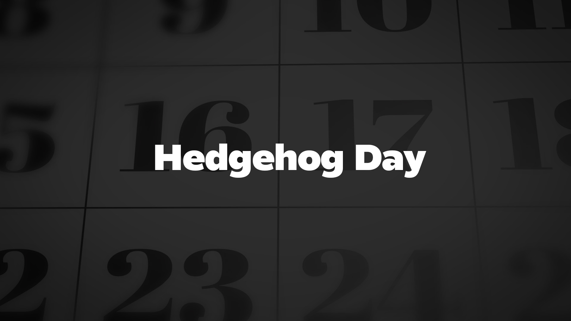 Title image for Hedgehog Day