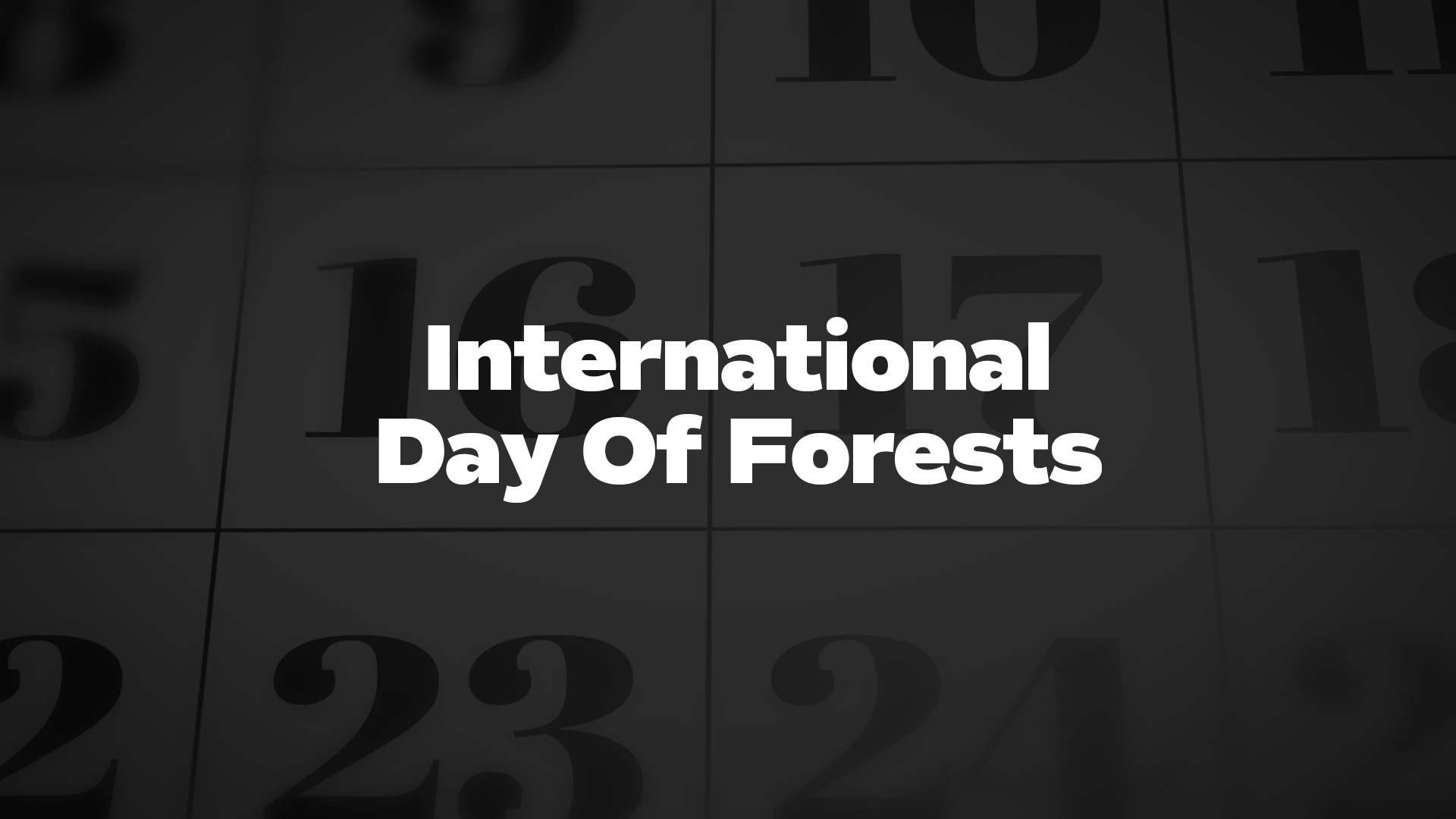 Title image for International Day Of Forests