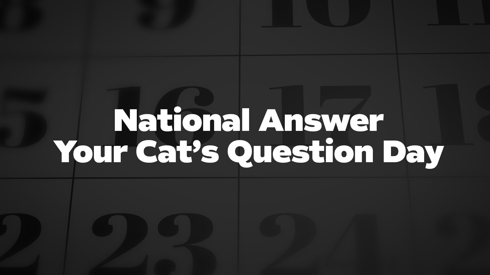 Title image for National Answer Your Cat’s Question Day
