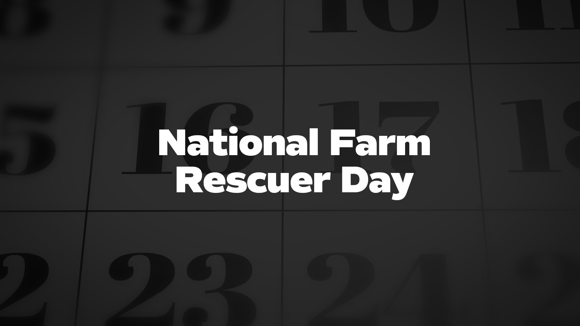 Title image for National Farm Rescuer Day