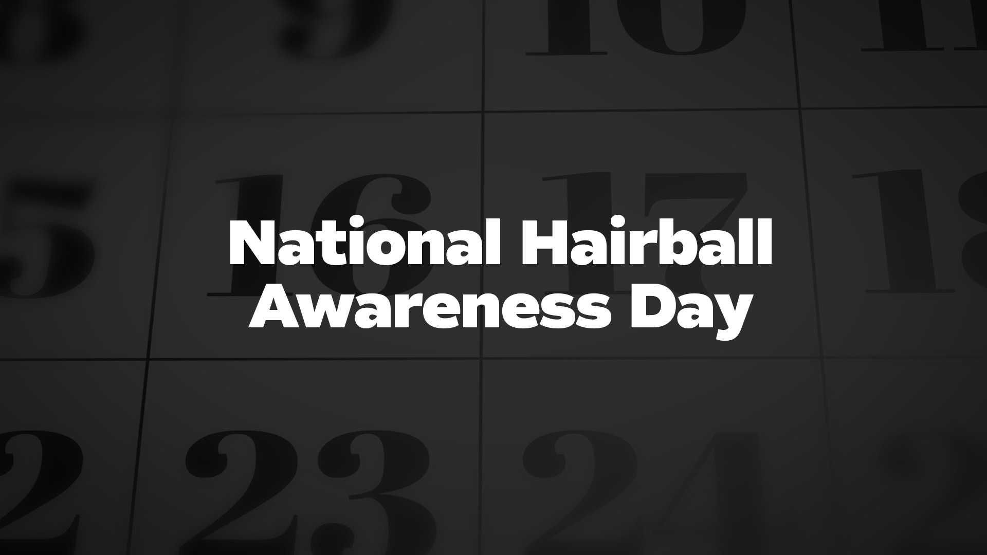 Title image for National Hairball Awareness Day