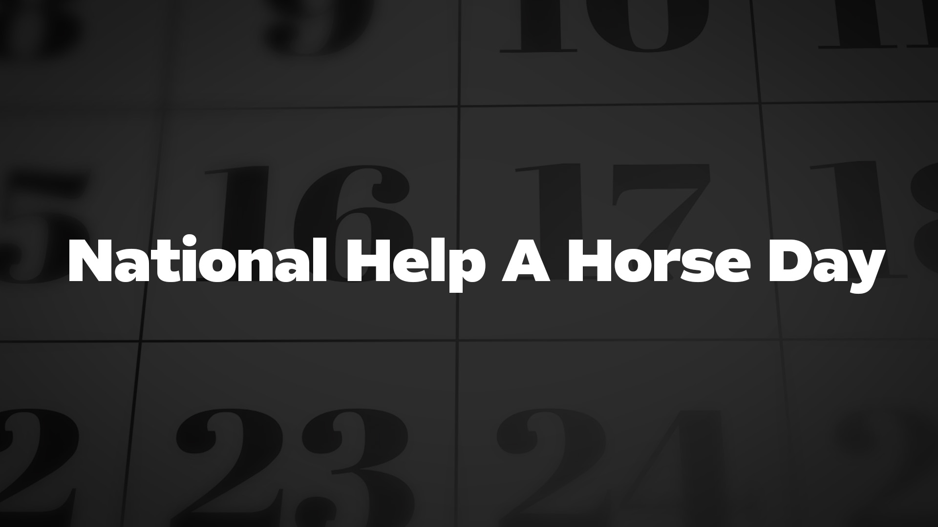 Title image for National Help A Horse Day