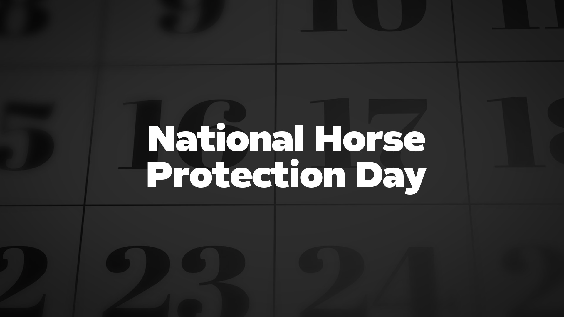 Title image for National Horse Protection Day