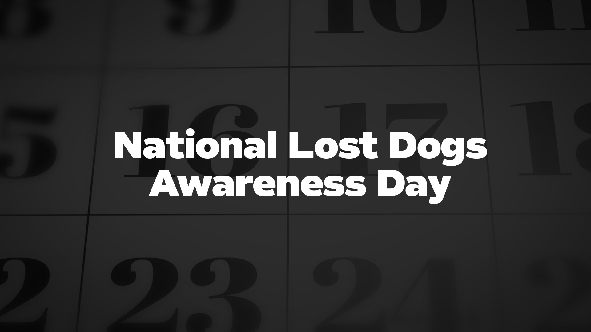 Title image for National Lost Dogs Awareness Day