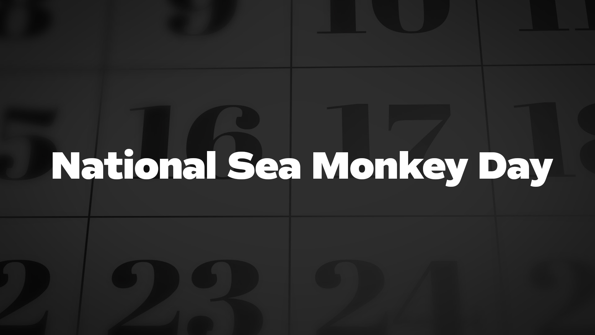 Title image for National Sea Monkey Day