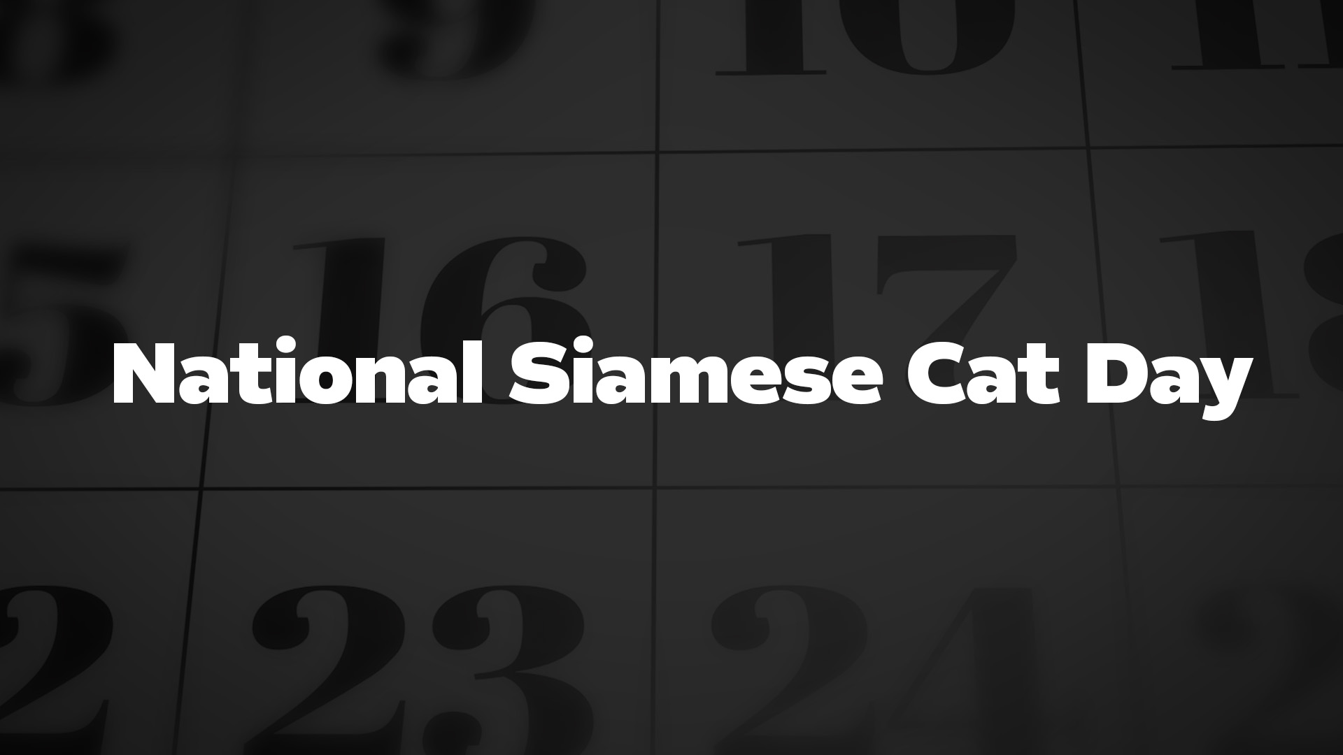 Title image for National Siamese Cat Day