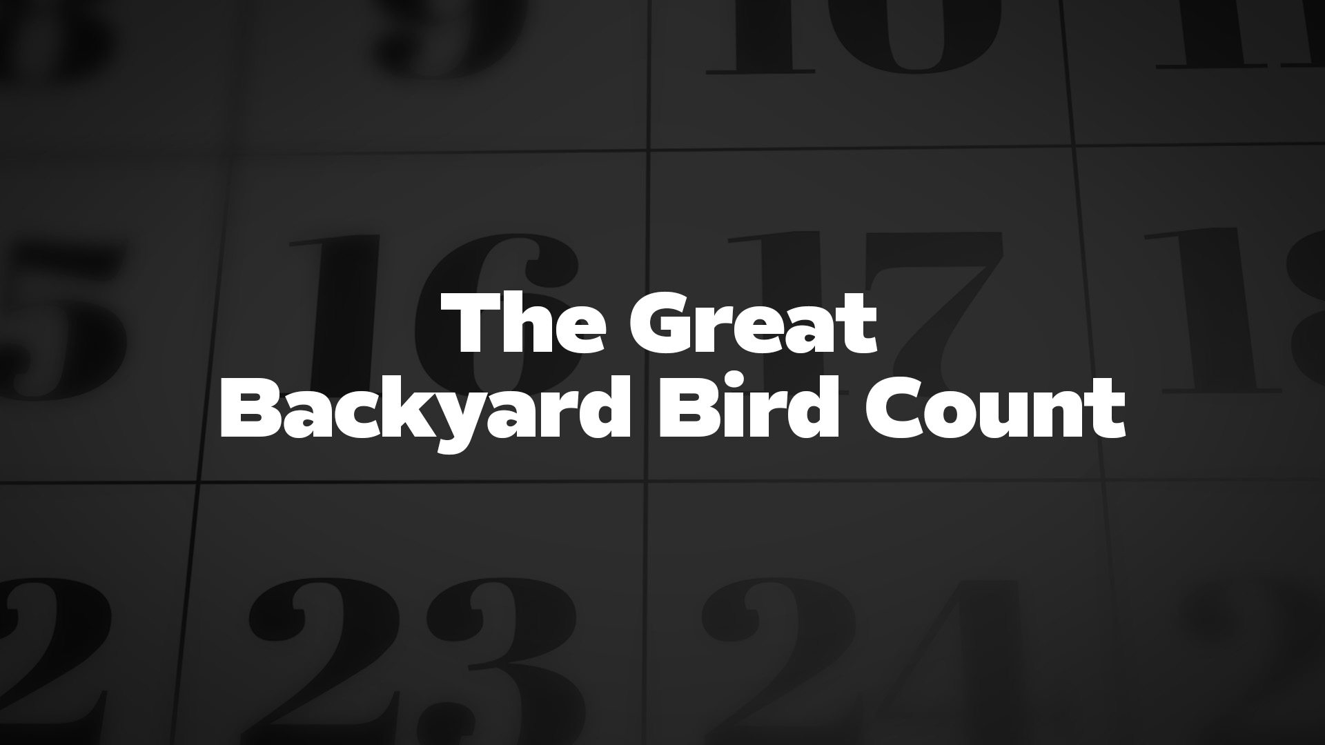 Title image for The Great Backyard Bird Count