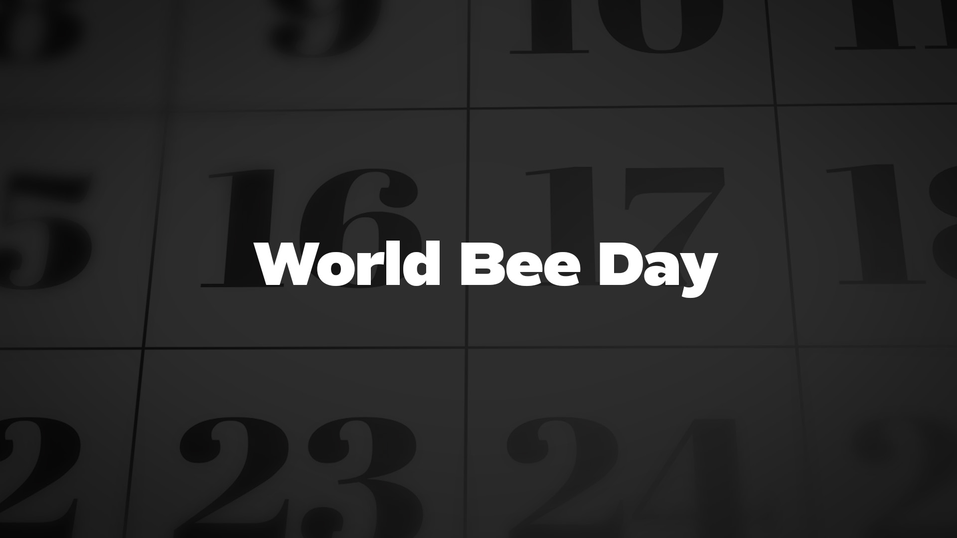 Title image for World Bee Day