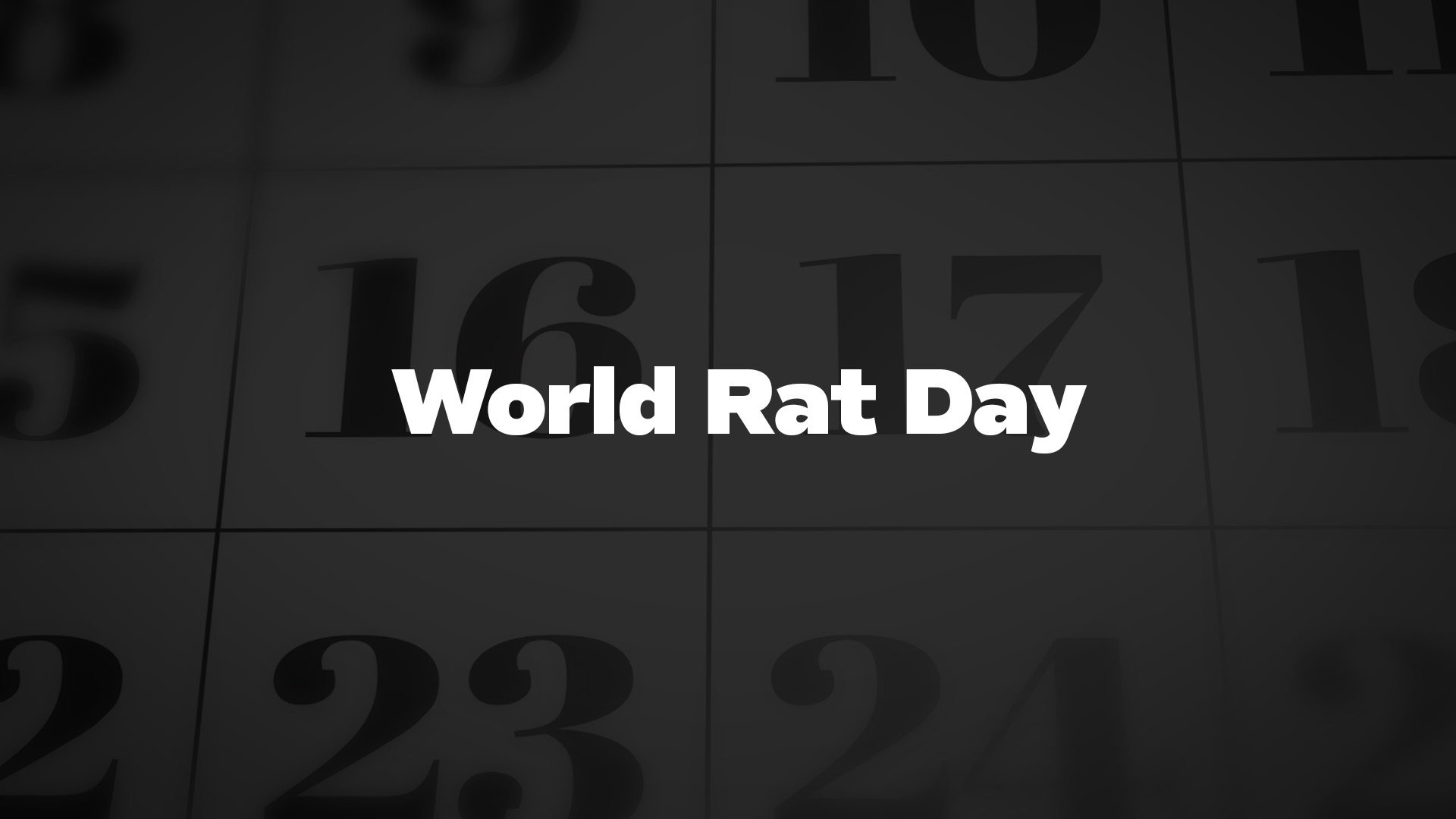 Title image for World Rat Day