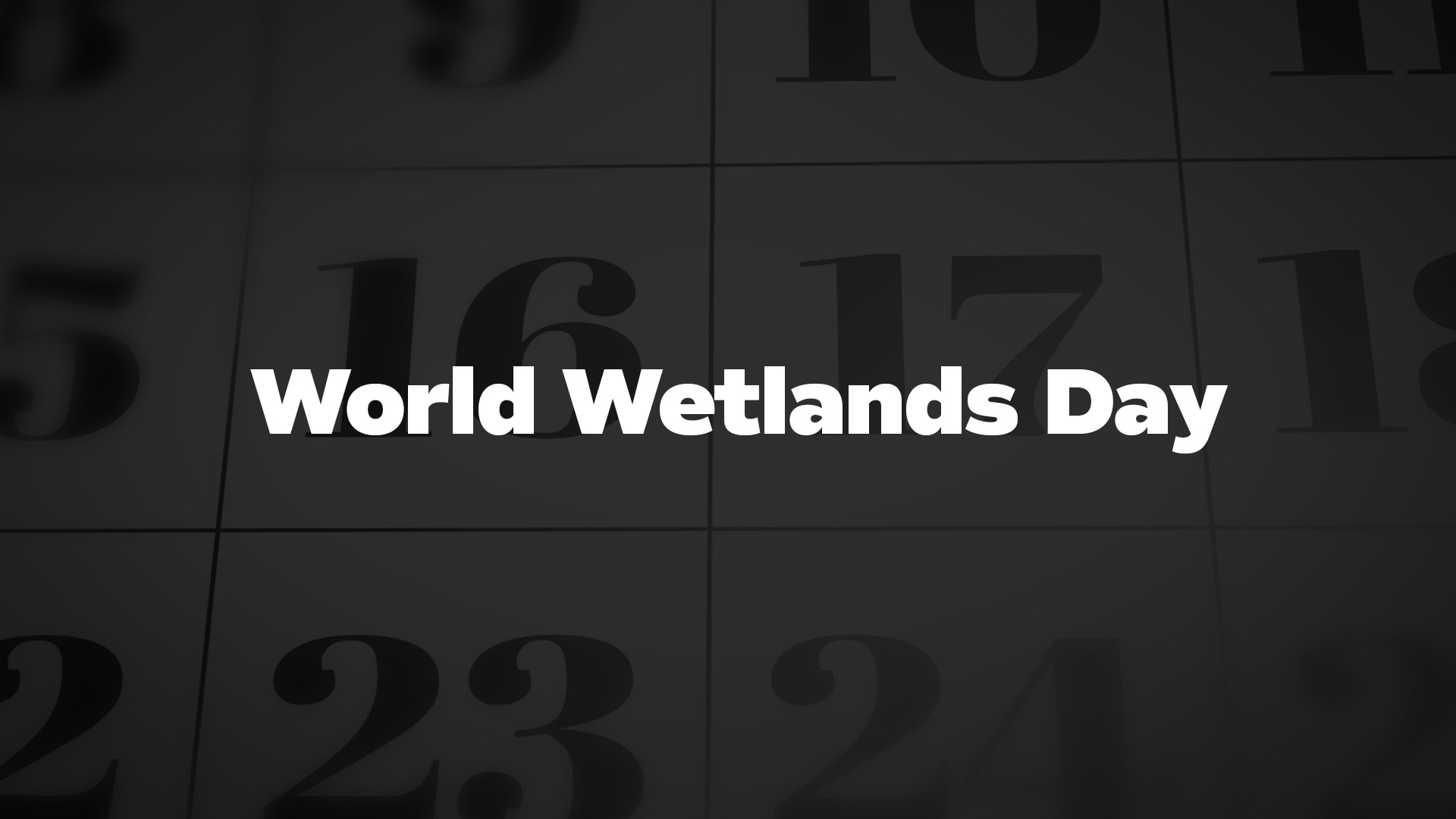 Title image for World Wetlands Day